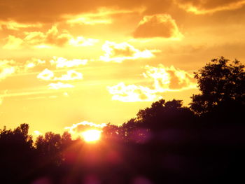 Silhouette trees against sky during sunset