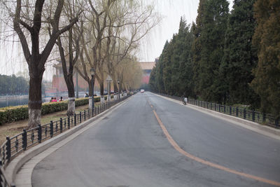 Empty road along trees