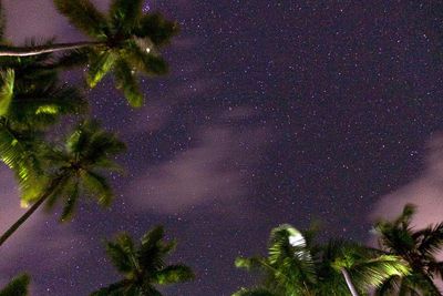 Low angle view of trees against sky at night