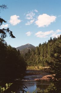 River amidst trees in forest against sky