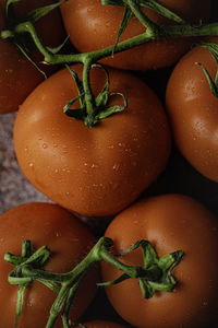 Close-up of tomatoes