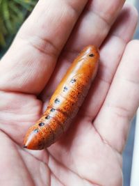 Close-up of hand holding food