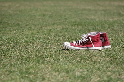 Red canvas shoe on grass in park