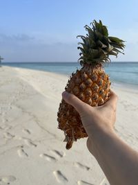 Cropped hand holding pineapple at beach