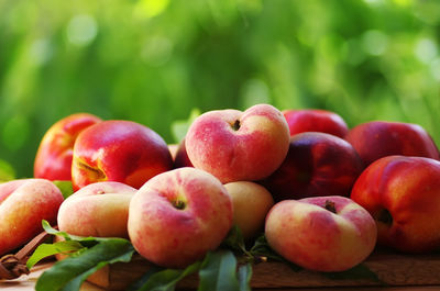 Close-up of apples on table