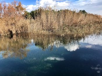 Reflection of trees in lake against sky