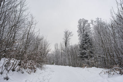 Bare trees on snow covered field against sky