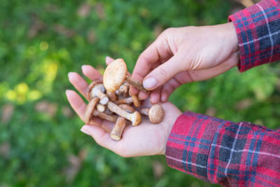 A girl in a checkered shirt holds boletus mushrooms in her hands.