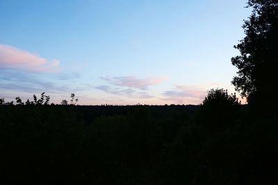 Silhouette trees on field against sky at sunset