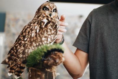 Midsection of person holding owl
