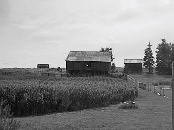 Houses on field against cloudy sky