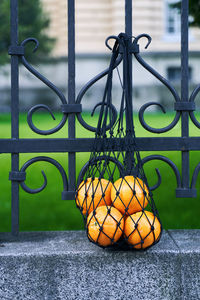 Close-up of christmas decorations