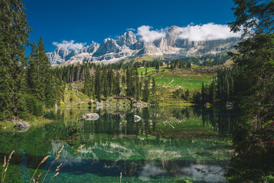 Scenic view of lake in forest against sky