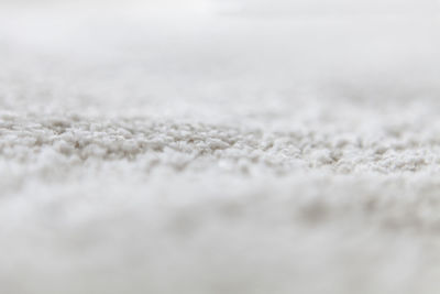 Close-up of snow on land