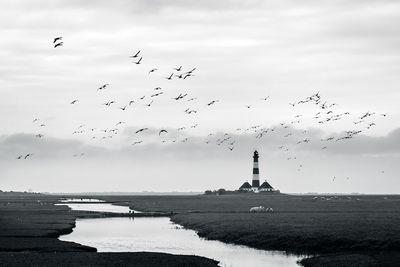 Birds flying over sea against sky