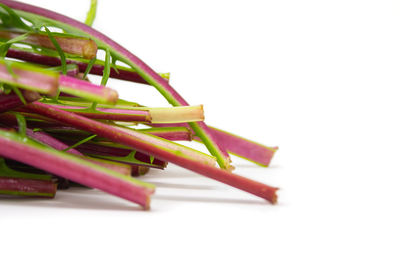 Close-up of food on table against white background