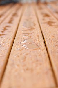 Close-up of wooden plank