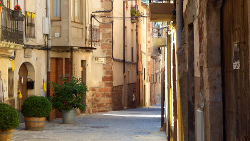 Alley amidst buildings in city