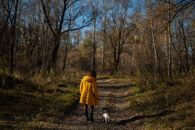 Rear view of person with dog walking in forest