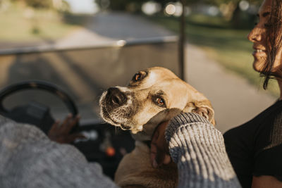 Man and woman sitting with dog while driving golf cart on road