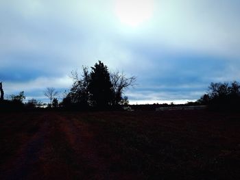 Silhouette trees on field against sky