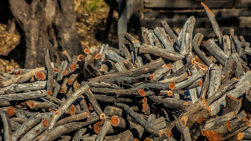 Close-up of wood