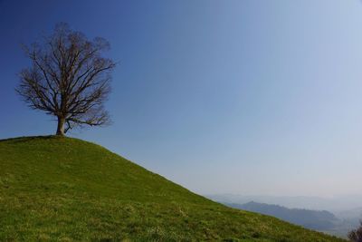 Scenic view of landscape against clear sky