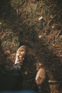 Low section of man standing on land