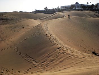 Scenic view of sandy beach