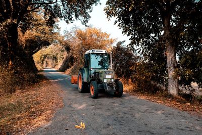 Road amidst trees on field in forest