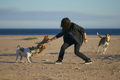 Woman playing with dogs at beach against blue sky