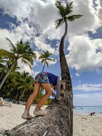 Rear view of boy climbing ona palm tree at beach against sky