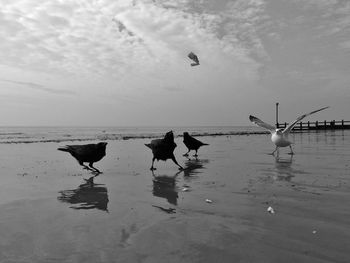 View of sea against cloudy sky