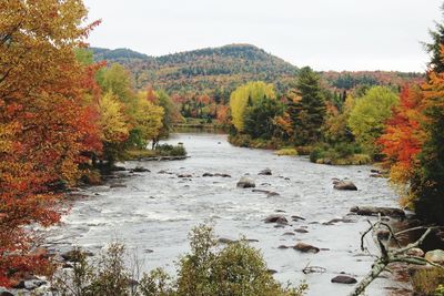 Scenic view of river stream amidst trees during autumn