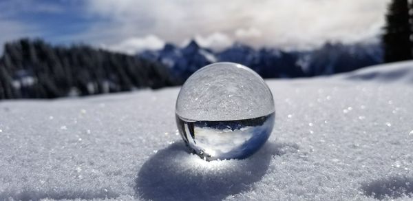 Close-up of snow on field against sky