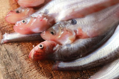 Close-up of fish on table