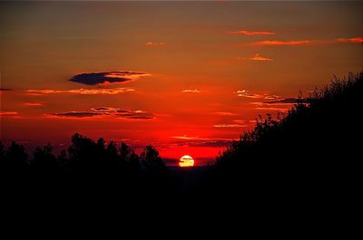 Silhouette of trees at sunset