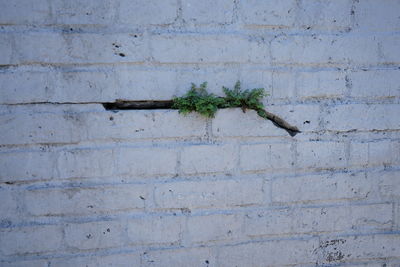 Full frame shot of weathered wall