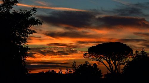 Silhouette of trees against dramatic sky