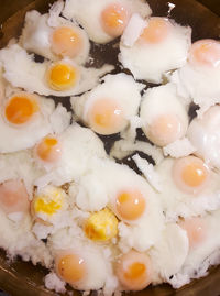 Close-up of food in plate