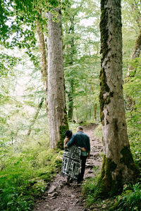 Rear view of a woman standing amidst trees in forest