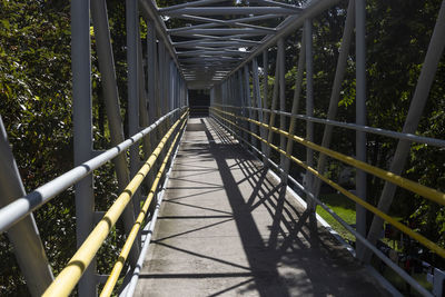 View of footbridge along trees