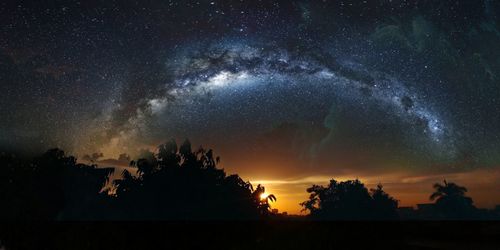 Low angle view of silhouette trees against sky at night