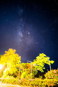 Low angle view of flowering plants against sky