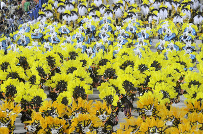 Full frame of yellow flowers