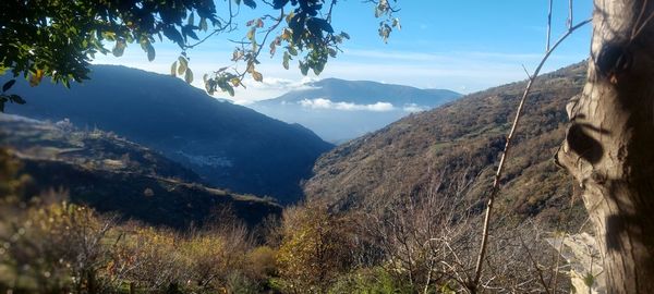 mountain