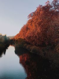 Reflection of trees in lake against sky