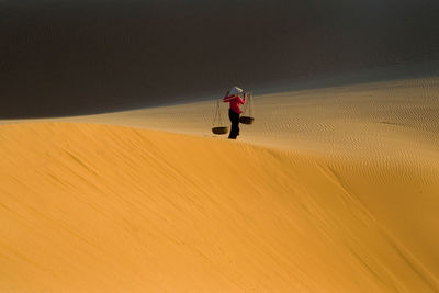 Desert ii muine vietnam