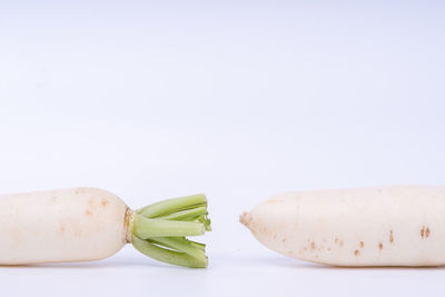 Close-up of bread against white background