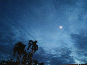 Low angle view of silhouette coconut palm tree against blue sky